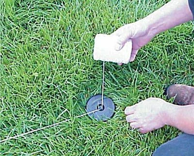 Best deal π 10 Piece Replacement Locator Set for Field Marking Kits π 2 Best deal π 10 Piece Replacement Locator Set for Field Marking Kits π - Image 2