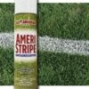 Budget 😍 Ameri-Stripe Athletic Aerosol Field Marking Turf Paint, 18oz., WHITE 😍