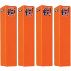 Budget ๐คฉ Fisher Weighted 7lb Molded Custom Printed End Zone Pylons ๐