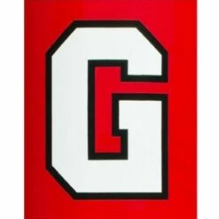 Flash Sale 🔔 Fisher 2 COLOR Traditional Vinyl Lettering for Football Goal Post Pads ✨