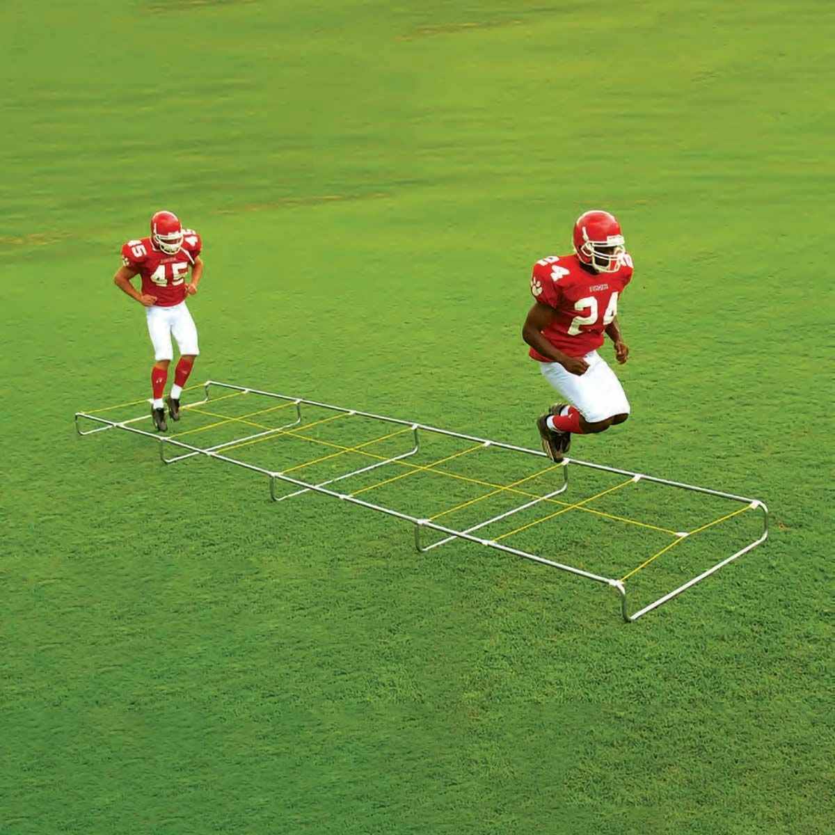 Budget π Fisher 15' Agility Master High Step Trainer, AM15 β€οΈ 1 Budget π Fisher 15' Agility Master High Step Trainer, AM15 β€οΈ