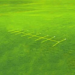 Buy ๐ Fisher 20' REPLACEMENT ROPES for Agility Master High Step Trainer ๐