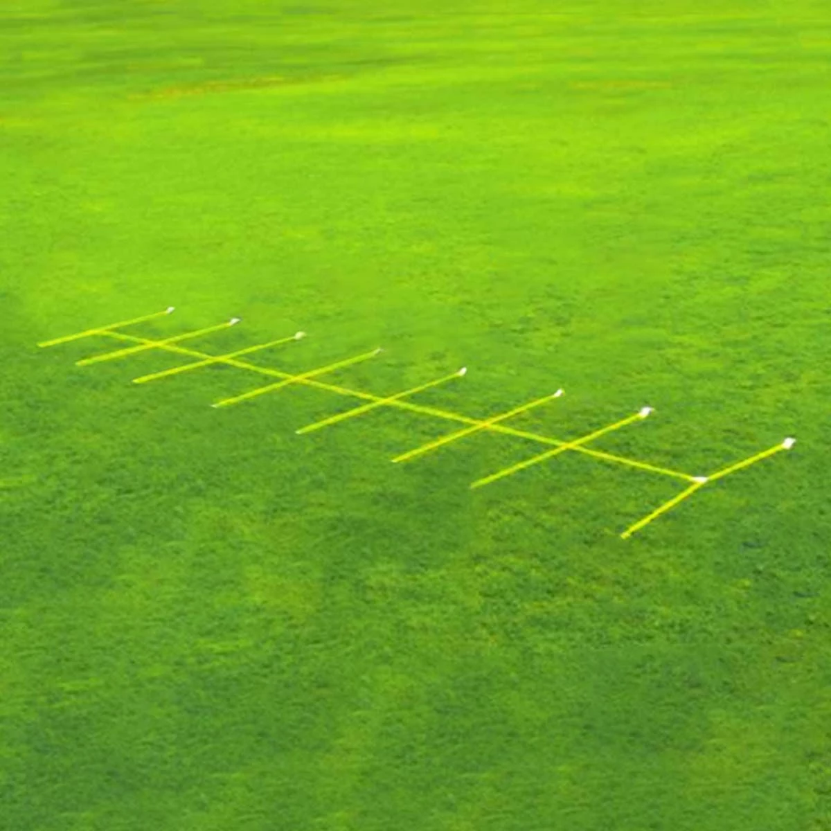 Cheapest ๐คฉ Fisher 30' REPLACEMENT ROPES for Agility Master High Step Trainer ๐ 1 Cheapest ๐คฉ Fisher 30' REPLACEMENT ROPES for Agility Master High Step Trainer ๐