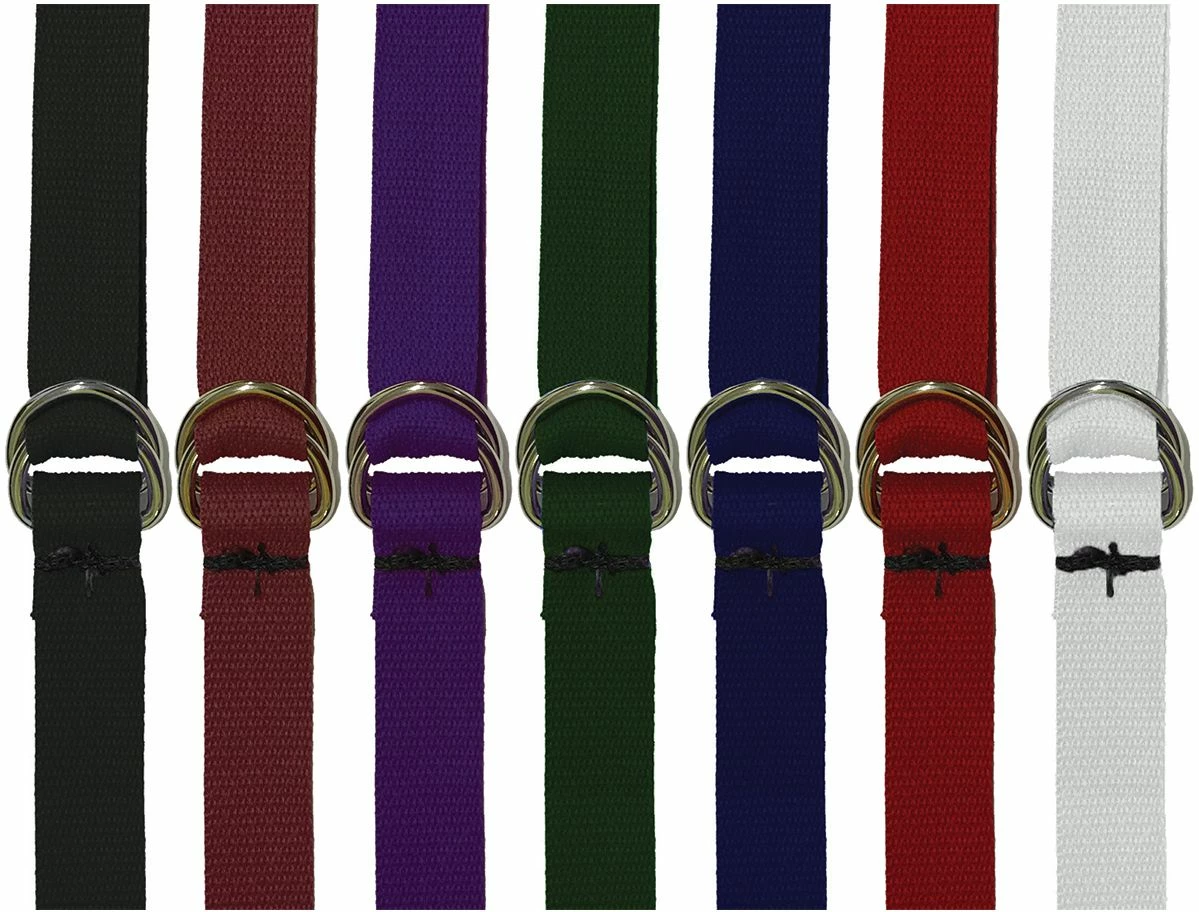 Brand new ๐ 1.25"x60" Web Football Belts, PWL ๐คฉ 3 Brand new ๐ 1.25"x60" Web Football Belts, PWL ๐คฉ - Image 3