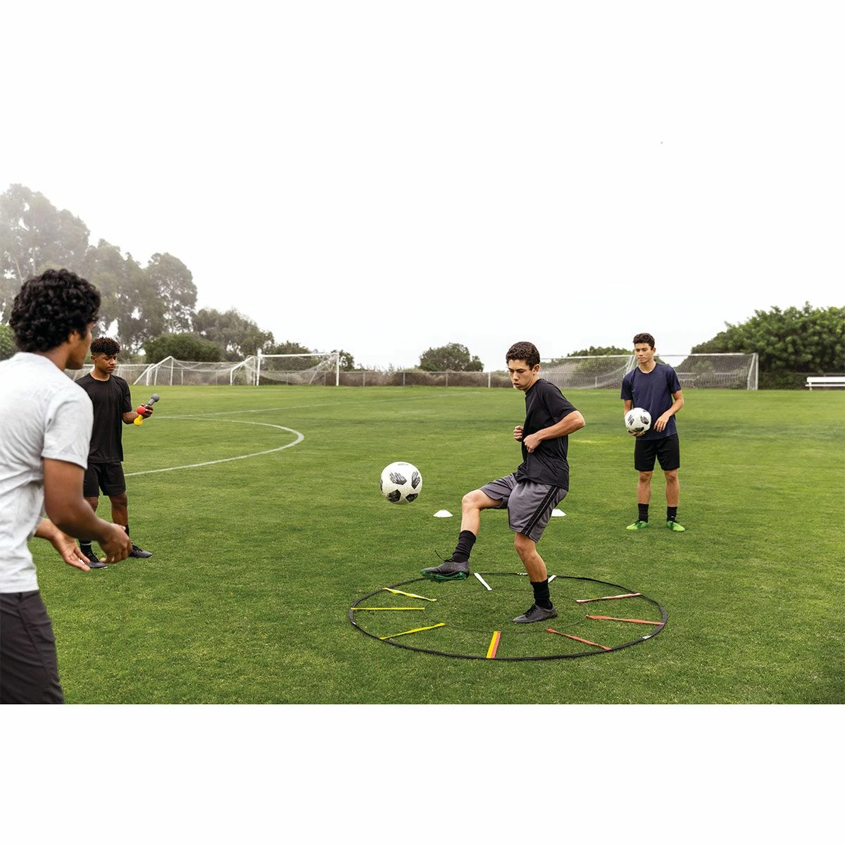 Buy 👍 SKLZ Reactive Agility Ladder 🎁 8 Buy 👍 SKLZ Reactive Agility Ladder 🎁 - Image 8